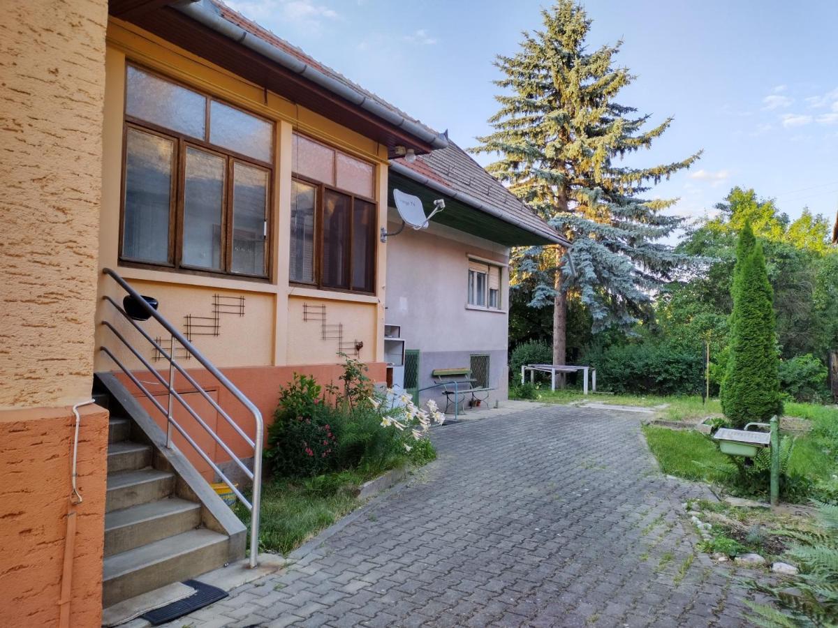 Zadora Haus Apartment Sacele Luaran gambar